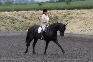 ISIS Dressage Challenge 2008